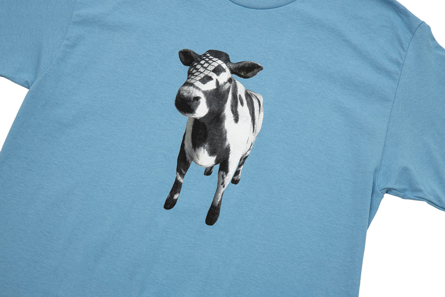 COW TEE CAROLINA BLUE