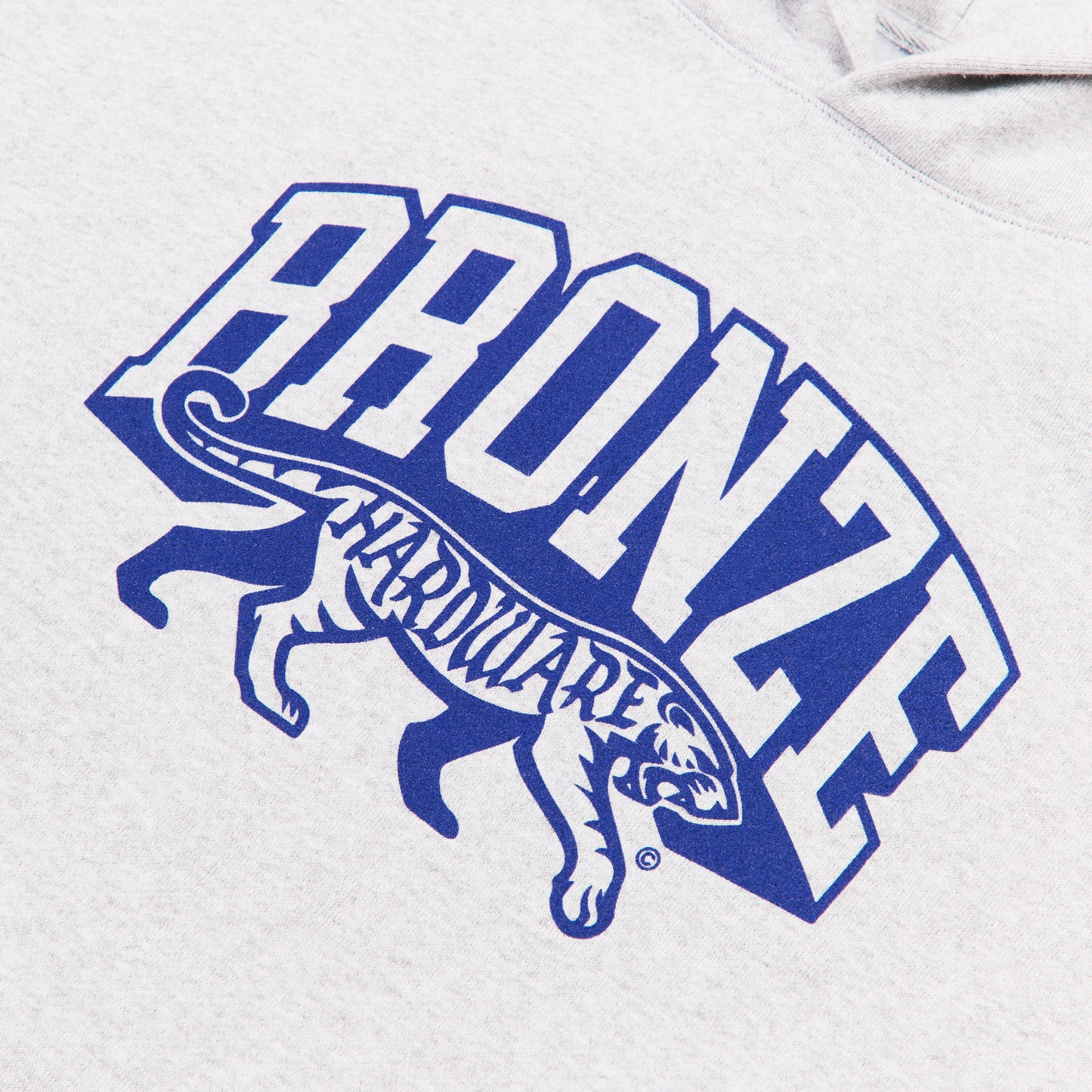 SURVIVOR HOODY GREY