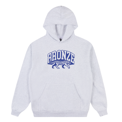 SURVIVOR HOODY GREY