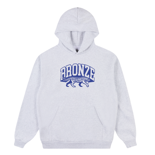 SURVIVOR HOODY GREY